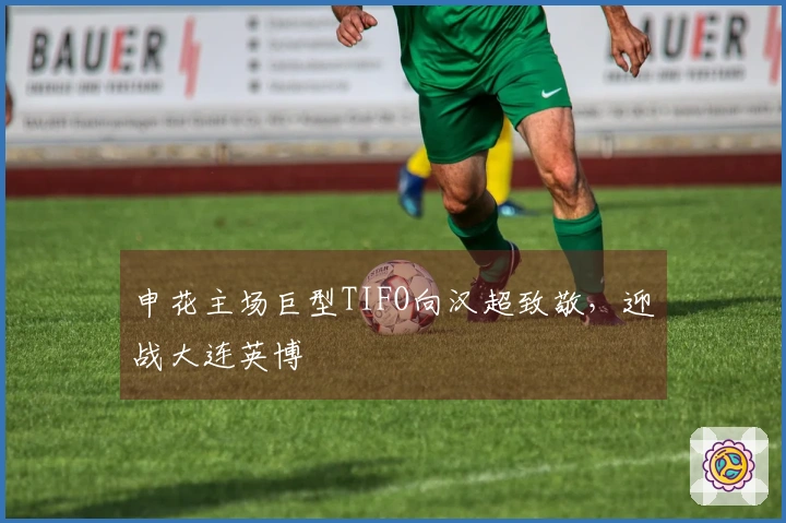 申花主场巨型TIFO向汉超致敬，迎战大连英博