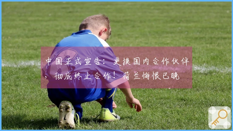 中国正式宣告：更换国内合作伙伴，彻底终止合作！荷兰悔恨已晚