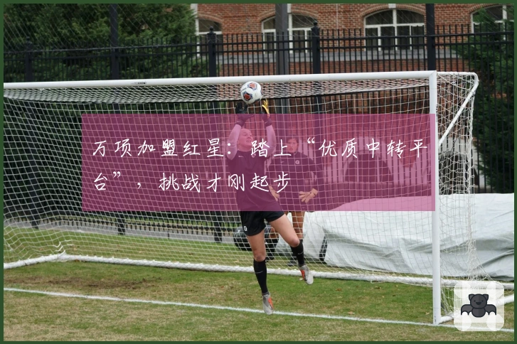 万项加盟红星：踏上“优质中转平台”，挑战才刚起步